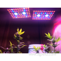 Best LED Grow Light 1200w for Indoor Plants